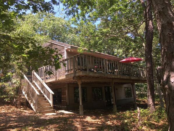 House view