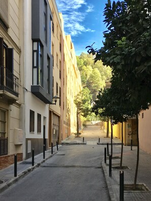Exteriör