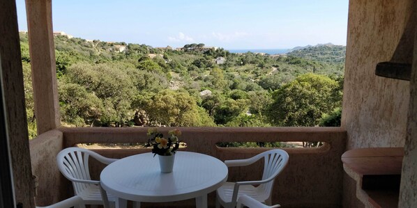 N°2 Terrasse