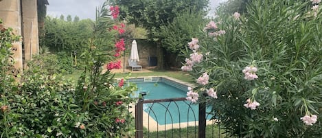 La piscine dans son écrin de verdure