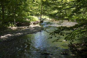 overlooking the stoney creek, follow the creek down towards the falls