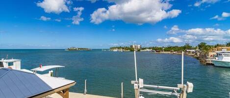 View from covered porch
