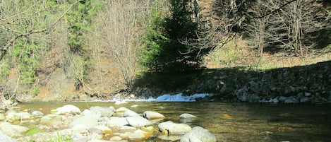 Terrain de l’hébergement 