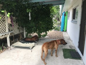 Terrace/patio