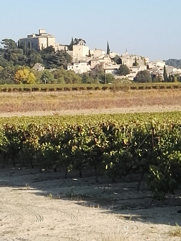MAISON DE CHARME DANS VILLAGE DU LUBERON