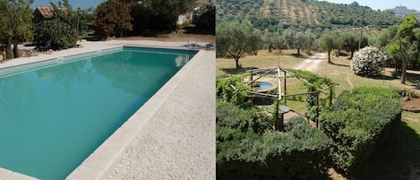 la piscina di 15 metri x 4 e il gazebo della colazione in giardino