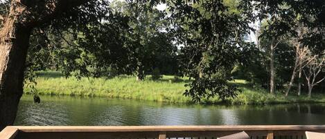 Lake View from the deck