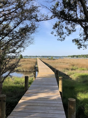 1000' of boardwalk