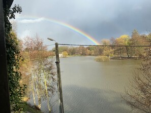 Lake view