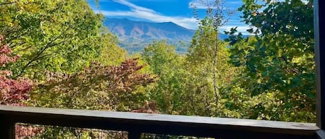 Incredible Mt. LeConte Views From The Covered Back Deck!