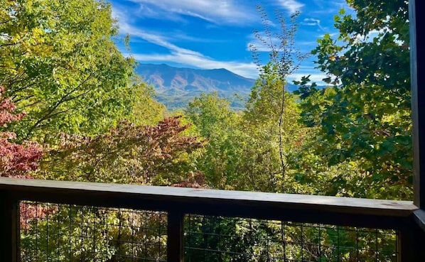 Incredible Mt. LeConte Views From The Covered Back Deck!