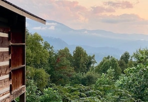 Gorgeous Smoky Mountain Views!