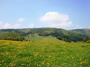 Surroundings [summer] (1-5 km)