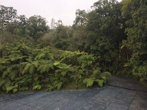 Entrada de la Casa