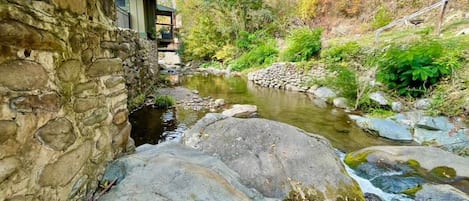 Incredible Roaring Fork Stream Waters!