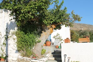 Stairs to main terrace 