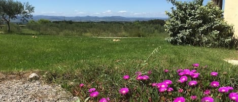 Terrain de l’hébergement 