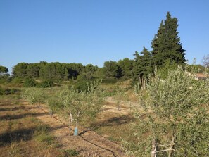 Εξωτερικός χώρος καταλύματος