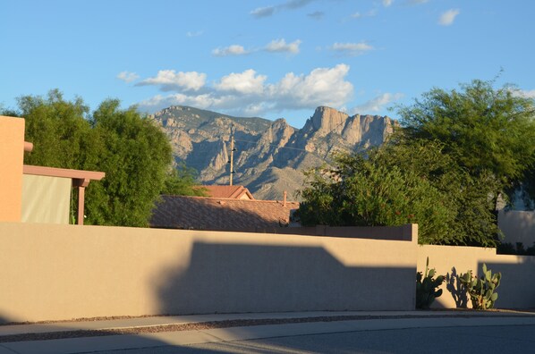 View from driveway