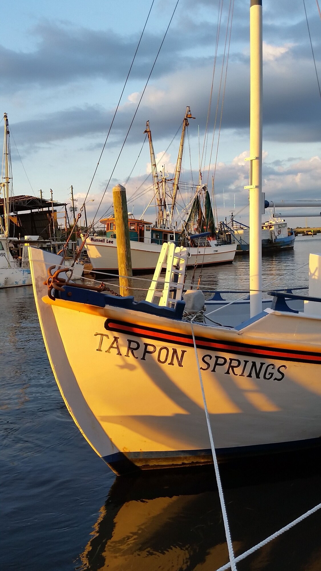 Close to Beach and Tarpon Springs Sponge Docks. Cottage on Spring Bayou