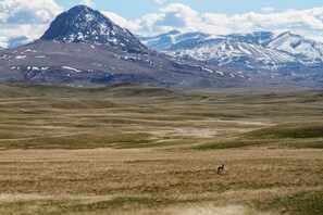 Montana Landscape | Nearby Nature