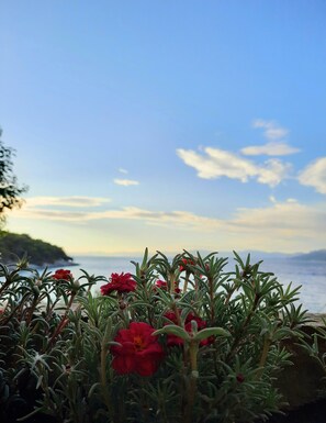 Strand-/Meerblick