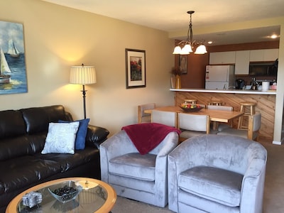 Beautiful Petoskey Condo in Trout Creek - Minutes from Nubs & Boyne Highlands!
