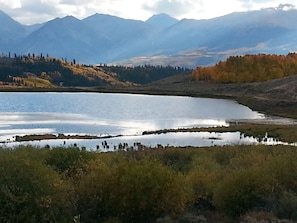 One of several small Lakes in the neighborhood