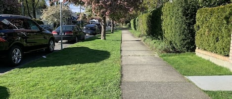A peaceful tree lined street steps to the Riley Park