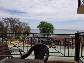 Vista del balcón