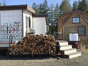 Tiny home back view with stairs leading down to the swimming pond