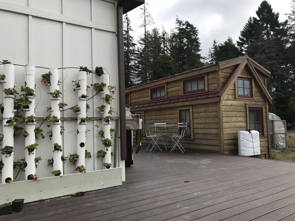 Tiny Home side view from deck of bistro & grill area