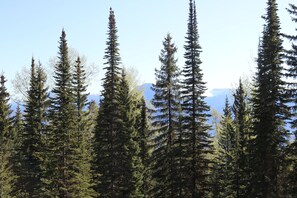 Spectacular views of the Rocky Mountains from the deck.