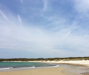 The ultimate: Lambert's Cove Beach. A 15 min walk to wonderful swimming.