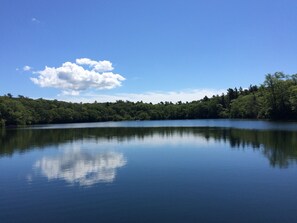 gorgeous Ice House Pond. a  5-10 min walk. Perfect for swimming