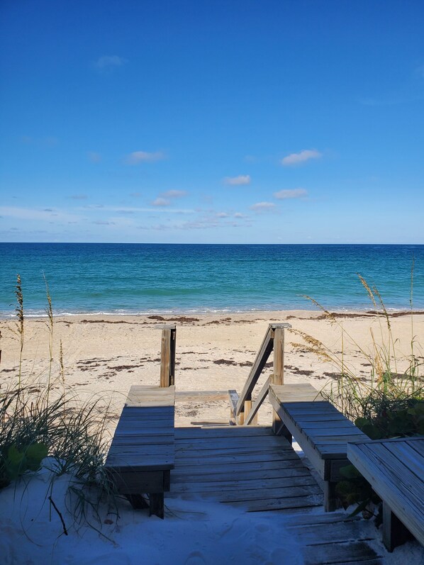 Vue sur la plage ou l’océan