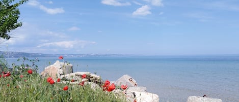 Utsikt mot havet/stranden