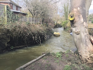 River in back garden