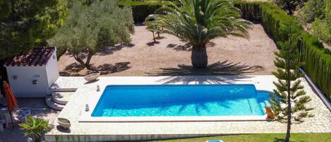 Swimming Pool, Property, Grass, House, Villa, Real Estate, Tree, Resort, Building, Palm Tree