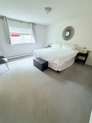 Master bedroom (no television)