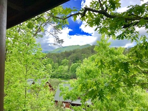 View of Bluff Mountain