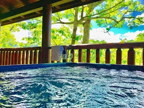 Panoramic views from the private hot tub