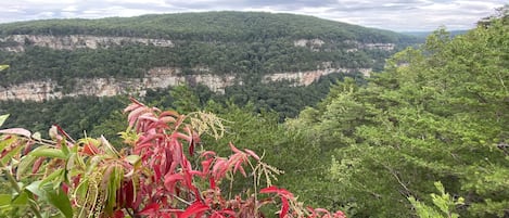 Cloudland Canyon State Park a mile away