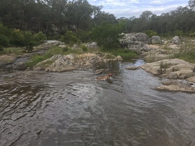 Bumblebrook - Pet Friendly & Romantic Getaway great views