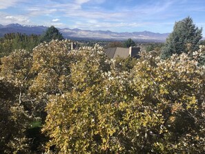 Valley view from the back deck.