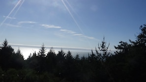 Photo non classée, 4 sur 10, bouton