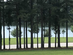 View from screened porch.