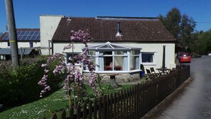 View of the Garden