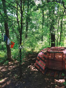 One of a kind tiny home with shared in-ground pool and hot tub