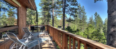 Forest views from the patio